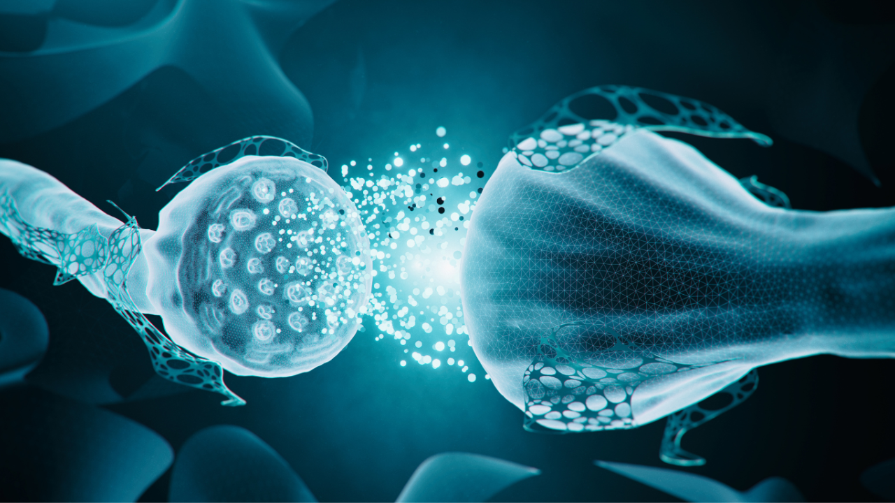 Neuroplasticity and How to Rewire Your Subconscious Mind Image