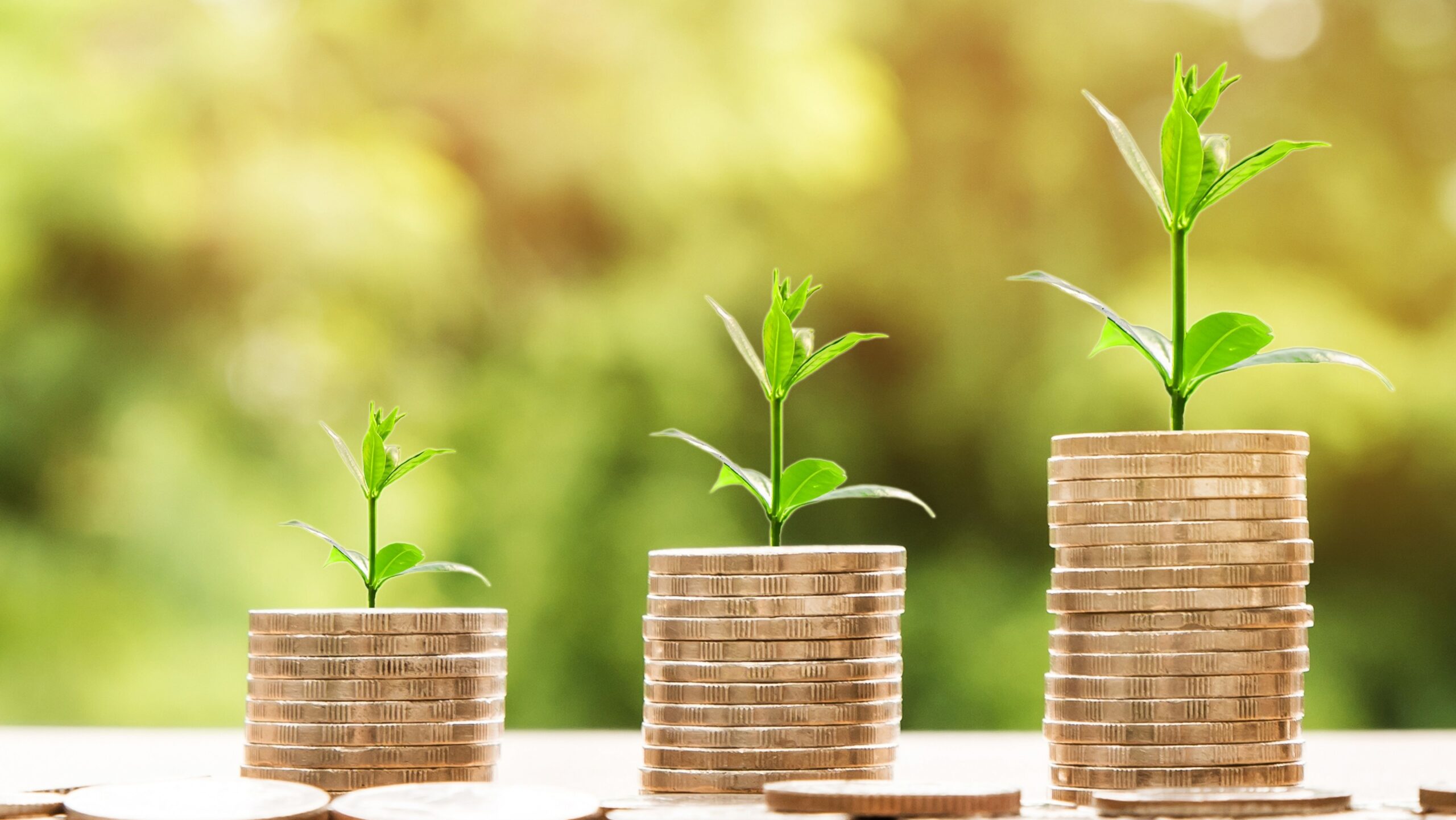How Your Money Mindset Shapes Your Business Success